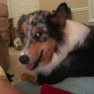 Meet your Posher, Laura